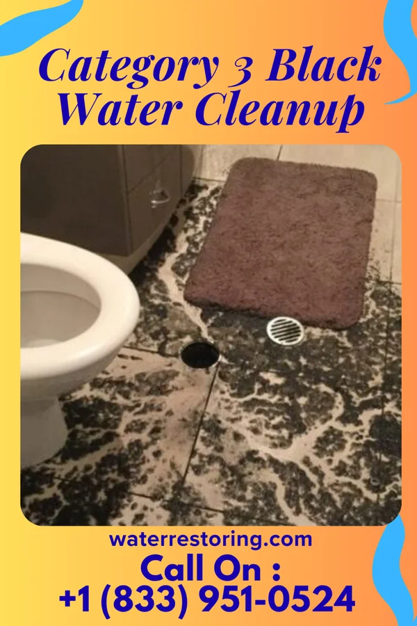 Category 3 Black Water Cleanup in Severance, KS