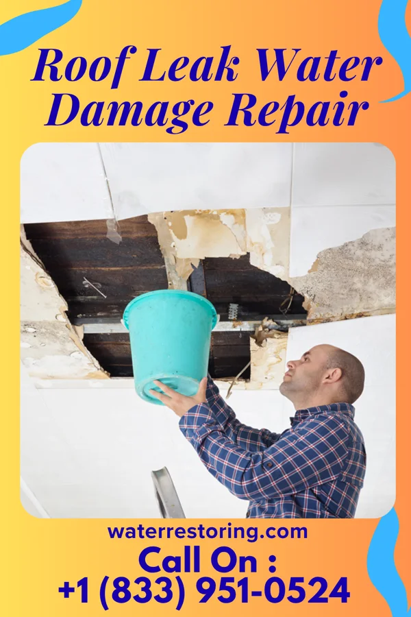 Roof Leak Water Damage Repair in Severance, KS